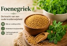 Foenegriek