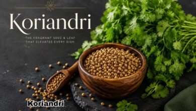 Koriandri