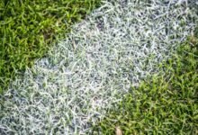 Real Grass vs Artificial Grass: Which Is Better for Busy Homeowners?